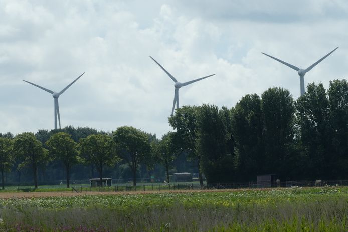 Sint-Michielsgestel stelt bouw windturbines uit.