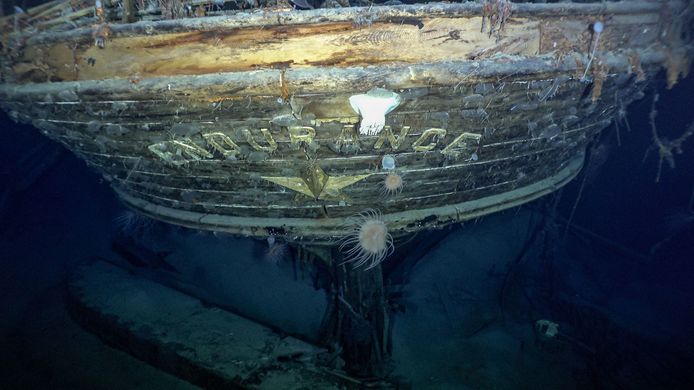 Falklands Maritime Heritage Trust / National Geographic