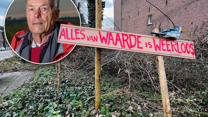 Gerooid bosje is volgens GroenLinks Zutphen waardevol groen: ‘Dit mag niet verloren gaan’