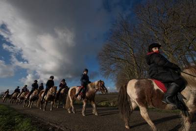 Optocht van pony’s: heel Avezaath kent de ‘ientjes’ van Het Zesspan