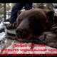 Russische gouverneur schiet beer in winterslaap dood, strafrechtelijk onderzoek geopend