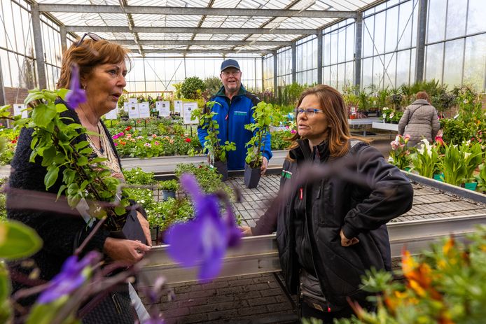 Liza van tuincentrum Van Krugten uit Drunen, in gesprek me t klant Arna. Cor heeft nog twee extra klimhortensia's voor haar gepakt.