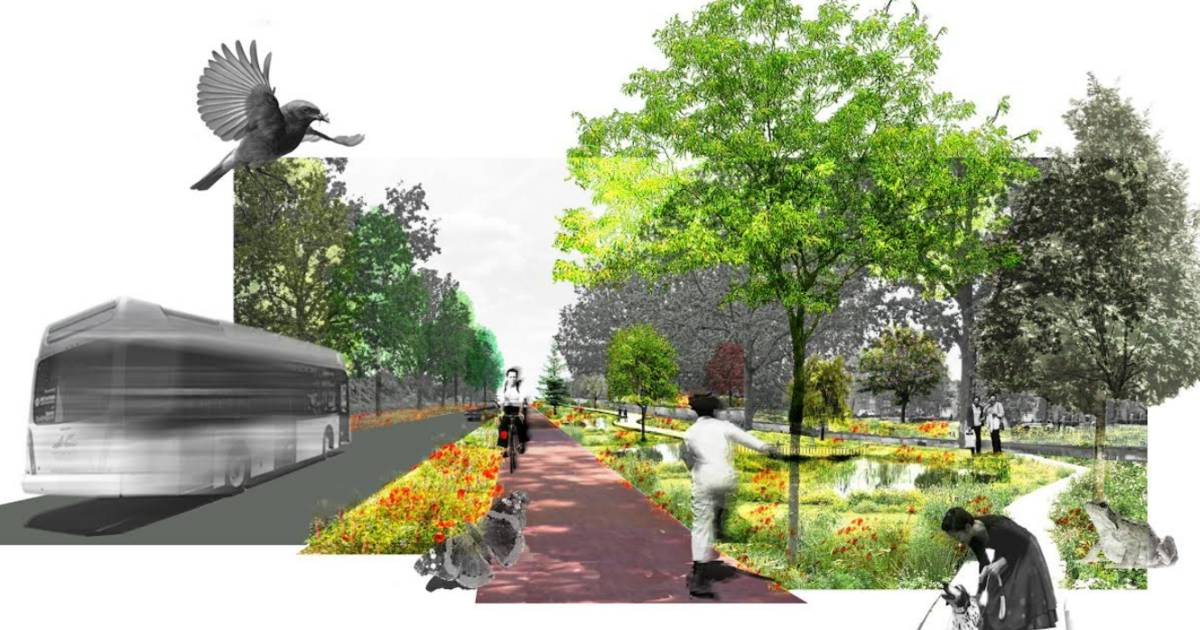 Rotondes, een lagere snelheid en meer groen: dit verandert er op de Kruislandseweg in Oud Gastel