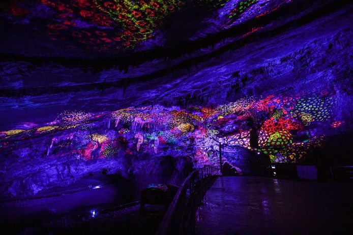 Le spectacle son et lumière a été imaginé par Luc Petit.