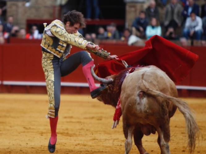 Matador overleeft als bij wonder voor tweede keer op rij bloedig stierengevecht