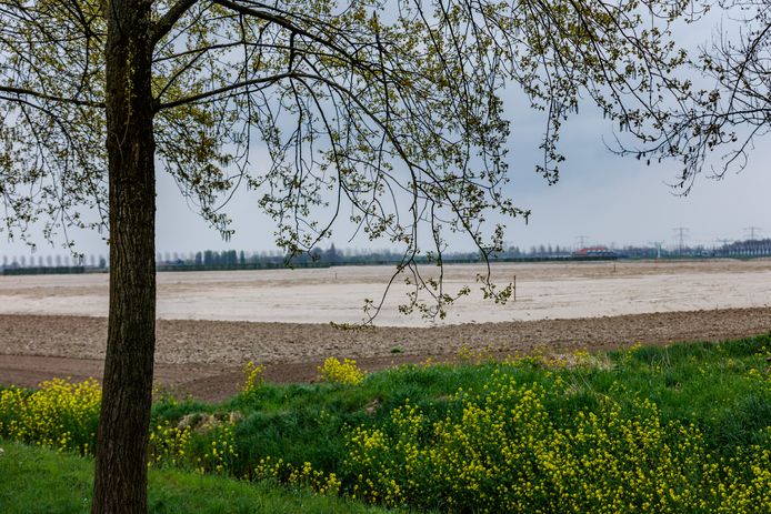 Het Havenbedrijf Moerdijk bracht eerder een gigantische hoeveelheid grond naar het toekomstige terrein van het Logistiek Park Moerdijk. Maar het LPM zelf wil maar niet van de grond komen.