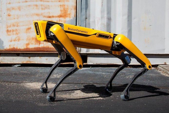 Spot, de robothond van het Amerikaanse bedrijf Boston Dynamics, wordt beschouwd als een van de meest geavanceerde mobiele robots ter wereld.