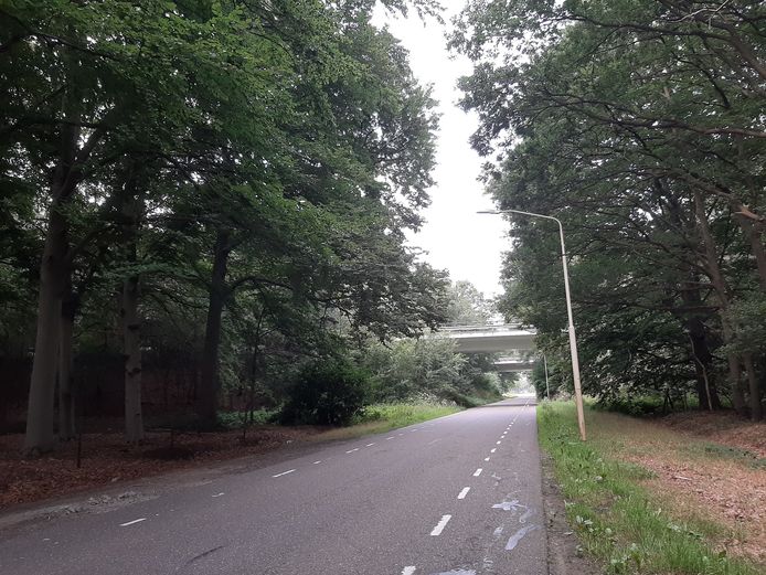 Een deel van de Tuinbouwweg, in dit geval een deel dat niet valt onder het voorgestelde onderzoek.