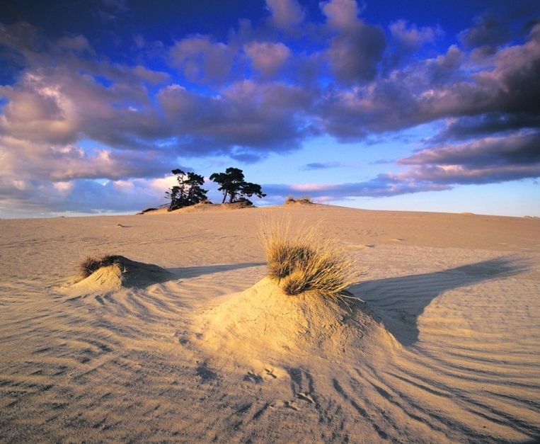 Zandstuiflandschap in Kootwijkerzand. © Ruben Smit Beeld 