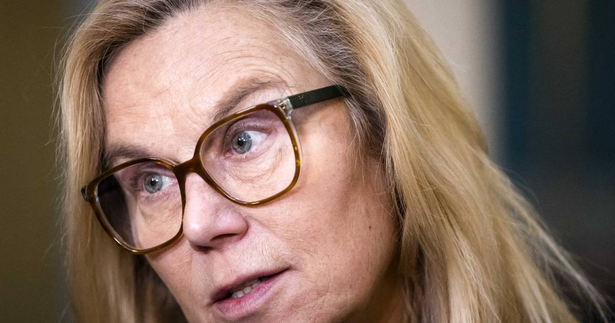 Sigrid Kaag Steps Down as Minister of Finance to Coordinate Gaza Reconstruction for UN, Rob Jetten to Temporarily Take Over