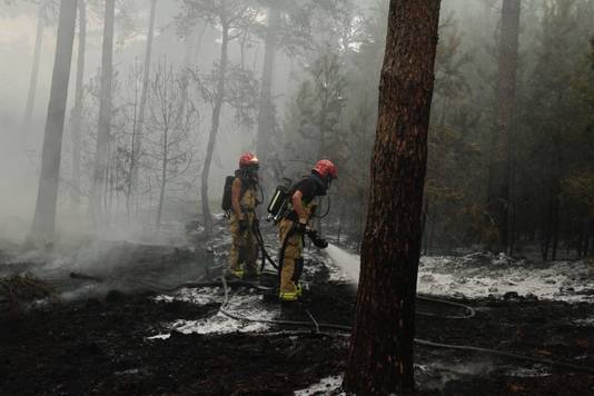 Brandweer blust de bosbrand in Milheeze.