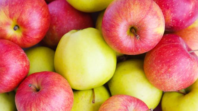 Waarom je beter een rode dan een groene appel kunt eten