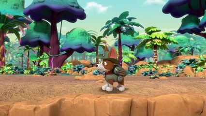 3. Pups vinden een Verborgen jungle