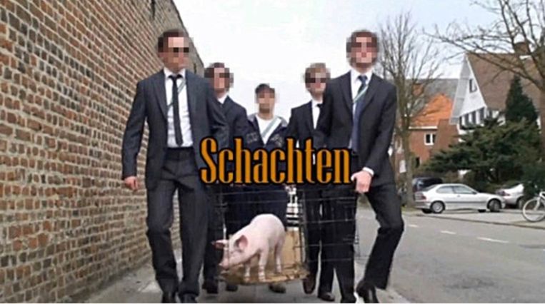 Wij waren zo stom om te filmen hoe het varkentje werd geslacht. Maar van dierenmishandeling was geen sprake.' (Foto: uit 'A Film by Reuzegom'.) Beeld 