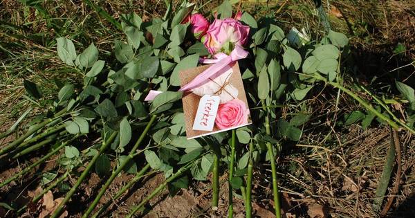 Bloemen voor Tim (14) op onheilsplek Vinkel | 's-Hertogenbosch | bd.nl - Brabants Dagblad