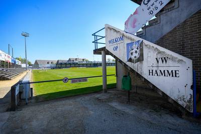 Il n'y aura pas de fusion entre Hamme et Lokeren