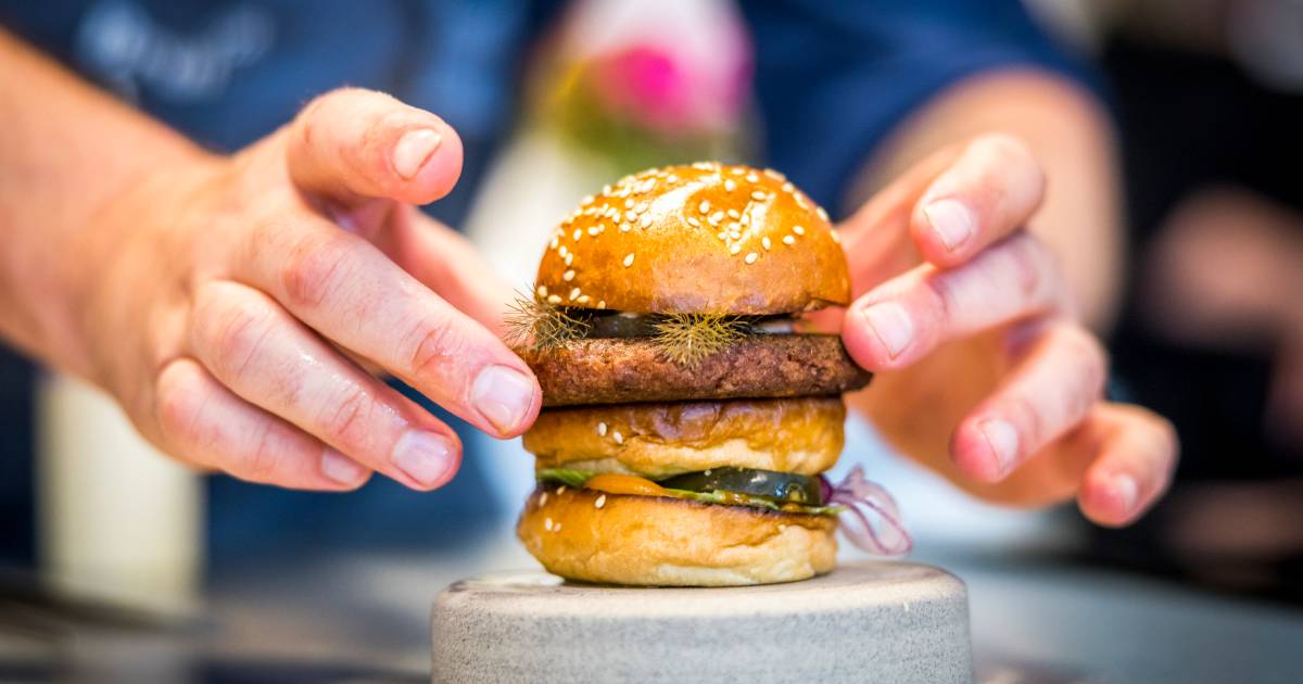 Une entreprise néerlandaise fabriquera des centaines de milliers de hamburgers de culture par an |  À l’étranger