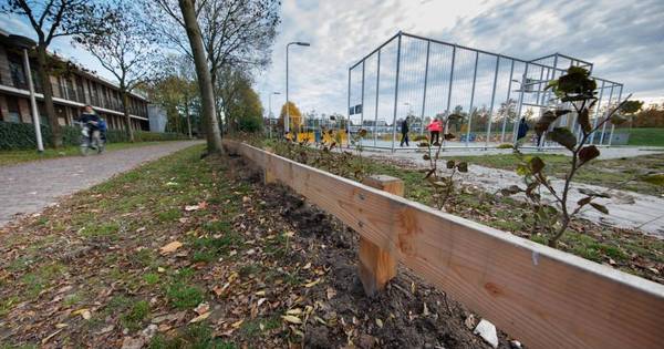 Houten hekjes om veiligheid in het Vogelaarpark in EttenLeur te