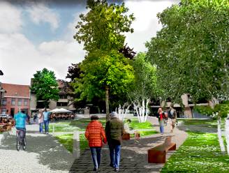 Ondanks wrevel over knip in Wijngaardstraat toch groen licht voor heraanleg Melkmarkt: “Met zelfs een extern deskundige om onze Vredesboom op gepaste wijze te verzorgen”