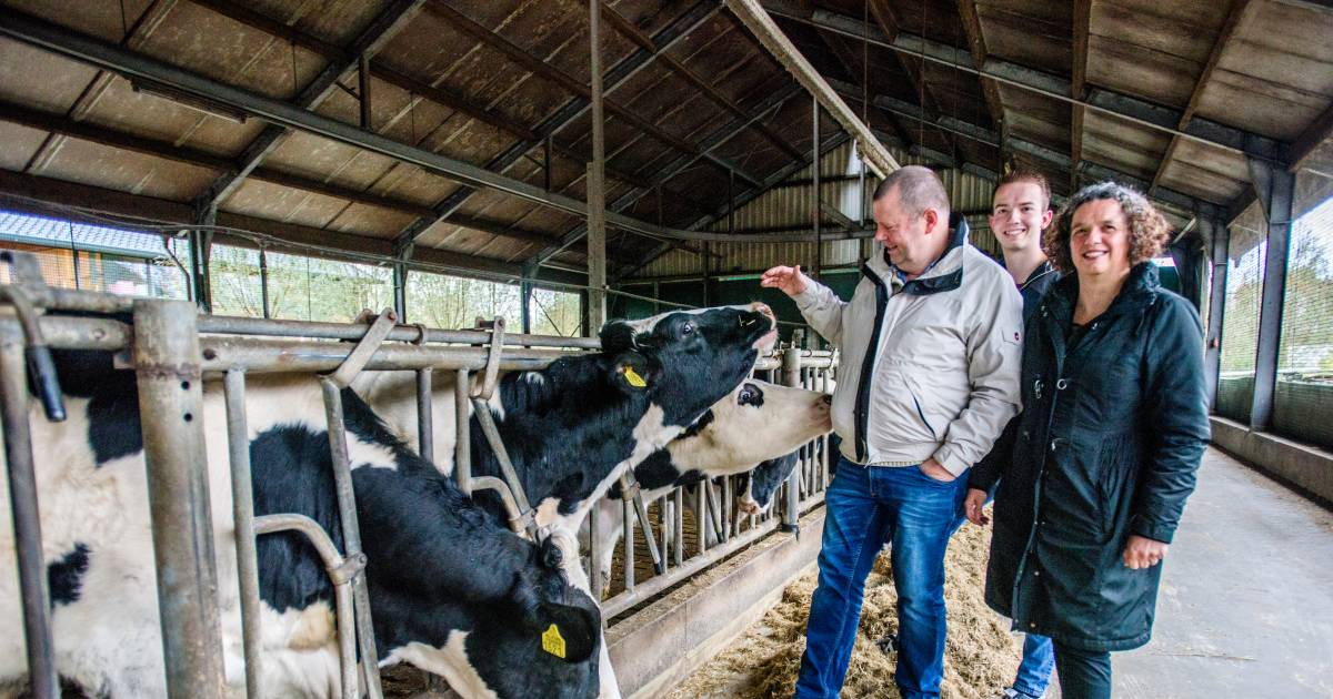 Koeientuin in Heukelom krijgt eindelijk groen licht: 'Nu maar hopen dat bezwaren uitblijven' - BD.nl