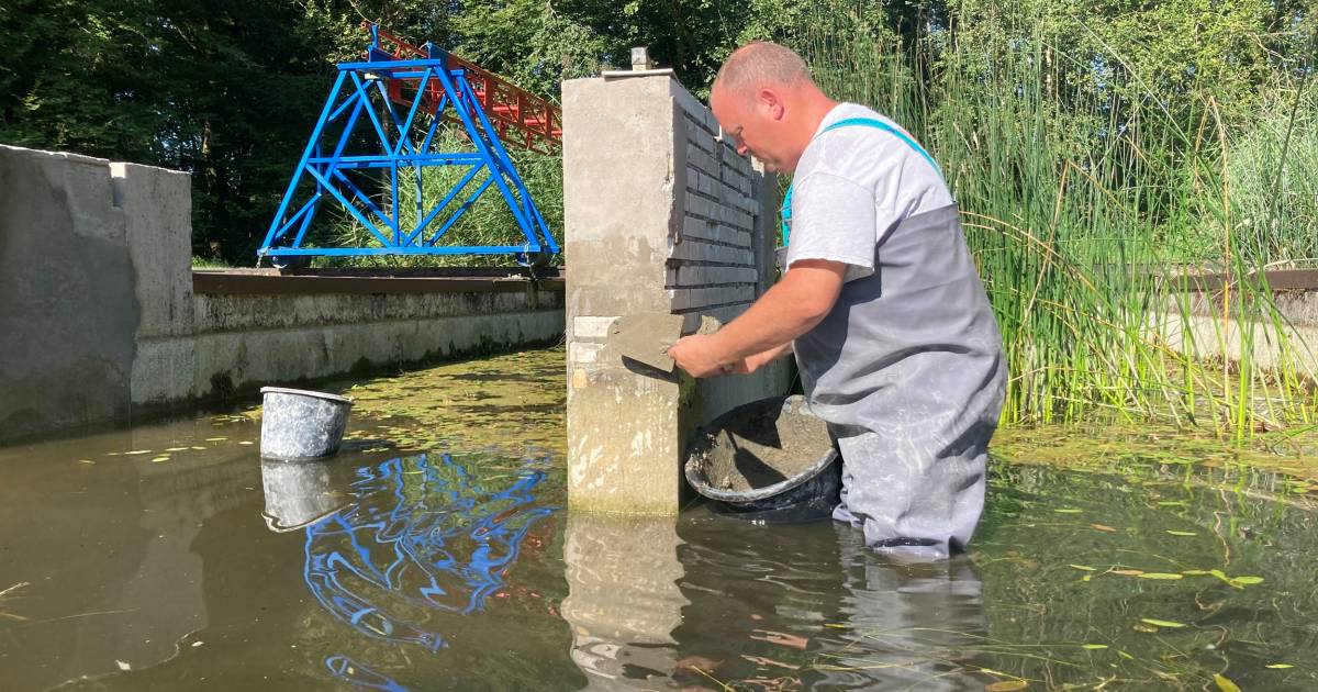Door dit beestje staan metselaars tot hun heupen in het water bij opknappen van monument: ‘Pittige k