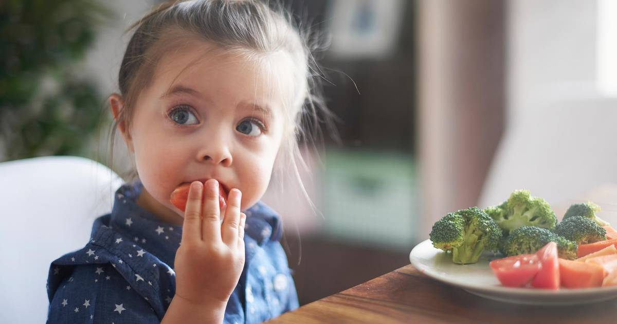 Kieskeurige Eters In Huis Daar Kunnen Ze Zelf Niet Aan Doen Familie Hln Be
