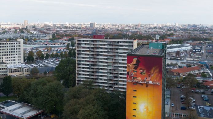 De muurschildering op de flat in Moerwijk.