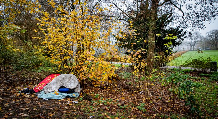 Een daklozeverblijf langs het spoor in een parkje in Eindhoven.