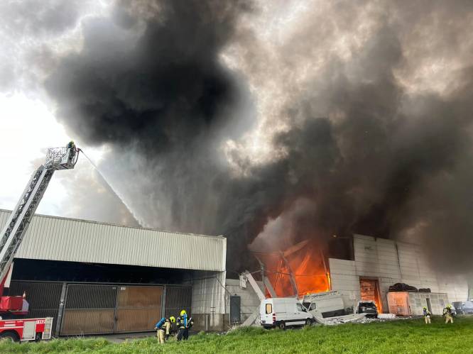Zware brand in loods van autohandelaar in Sint-Pieters-Leeuw: gebouw ingestort, vuur onder controle