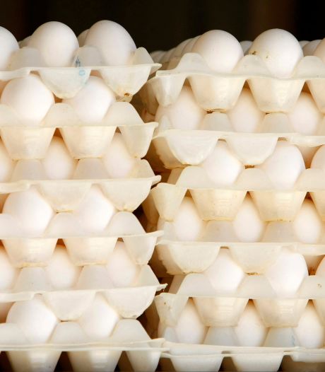 Un boxeur blanchi d’accusations de dopage: une “consommation très élevée d'oeufs” en cause