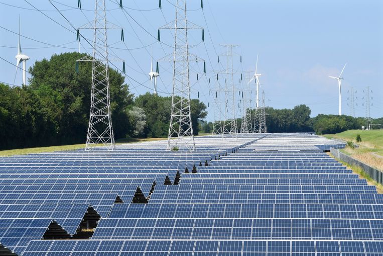 
Voor het behalen van de klimaatdoelen zijn zonnepanelen cruciaal. Eigenaren van zonnepanelen zijn echter niet verzekerd van een vrij plekje op de kabels om de stroom die ze over hebben terug te leveren. Beeld Hollandse Hoogte / Peter Hilz