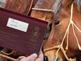 Paarden en een paardenpaspoort, foto ter illustratie.