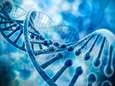 Onderzoekers van KU Leuven brengen blinde vlek in DNA in kaart