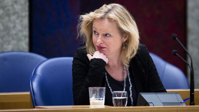 Minister Jet Bussemaker. Beeld anp