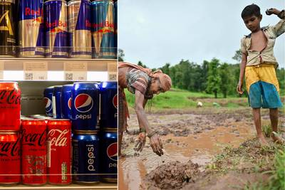 De wreedheid achter de productie van uw blikje Coca-Cola of Pepsi: bedrijven dragen bij aan de onnodige sterilisatie van duizenden vrouwen
