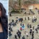 Verplicht antipestbeleid voor alle scholen