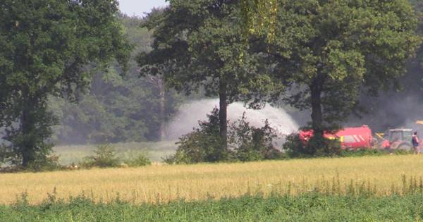Veld met rogge vat vlam in Bentelo