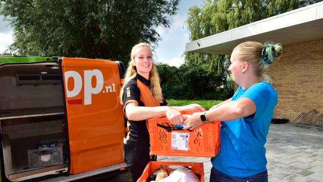 Spectaculaire daling werkloosheid bij jongeren: ‘Of ik terug wil naar de horeca? Alleen bij een goed aanbod’