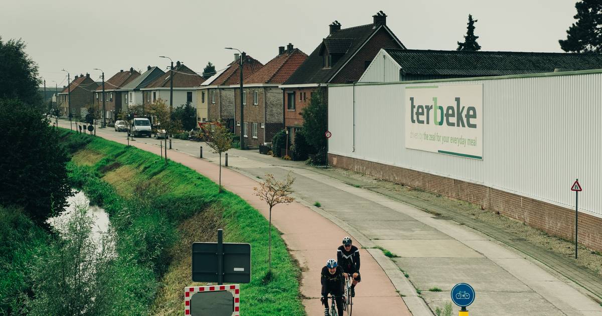 “Problems with listeria at Ter Beke branch dragged on for years, control failed” |  News