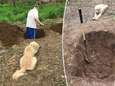 Hartverscheurende foto’s tonen hoe baasje graf graaft voor hond terwijl dier toekijkt