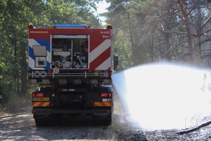 20220812 Nederland Een groot stuk heide aan de Achtmaalsebaan in Schijf stond vrijdagmiddag in brand. De brandweer rukte uit met ruim 120 brandweerlieden en 17 wagens naar het natuurgebied. Rond 15.30 uur kreeg de brandweer het vuur onder controle.