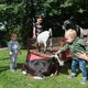 PvdD: dieren kinderboerderij niet meer naar slachthuis