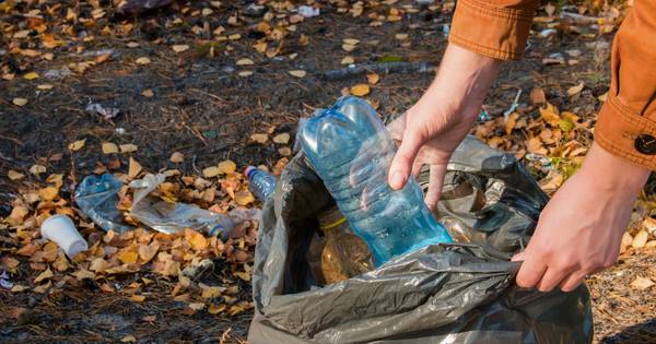 Onze halve maatschappij draait op vrijwilligers | Meierij - BD.nl