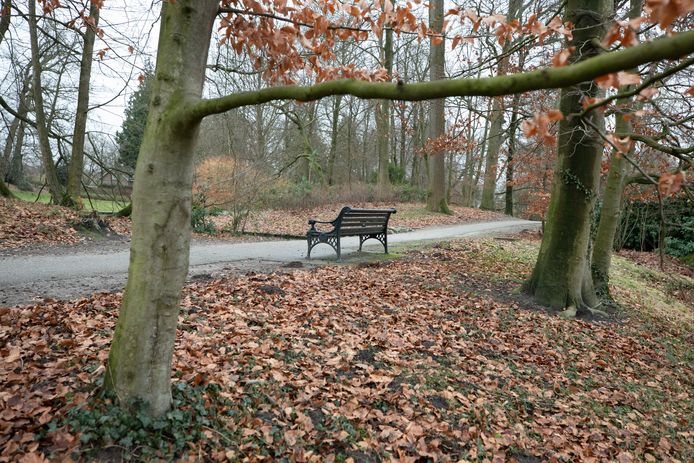 Het bankje in Park Randenbroek in Amersfoort, waar Tom het criminele pad op ging.