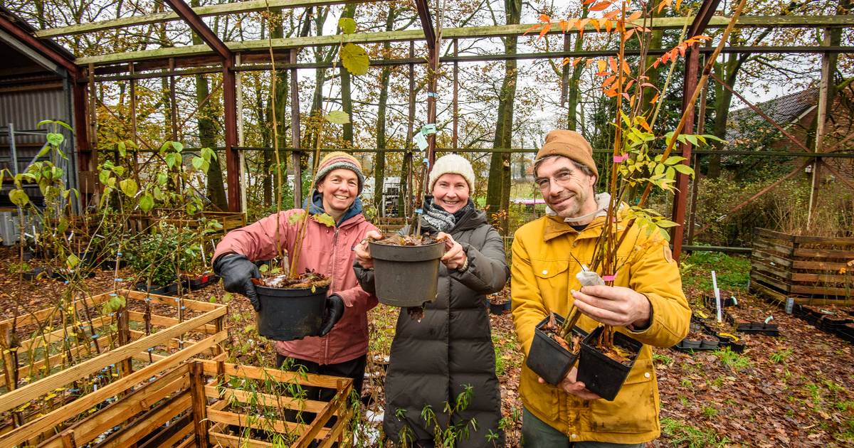 Lezer Eddy Oude Voshaar: ‘Voedselbos in Glane is landbouw van de lange adem’