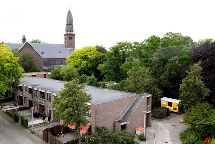 De bomen achter Korvelplein 175, gezien vanuit de appartementen aan de achterzijde van de villa.