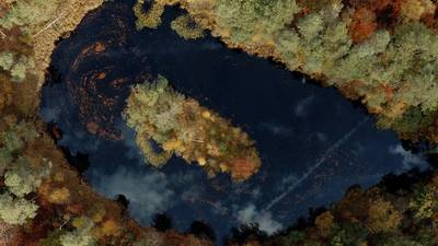 Indian summer op de Veluwe zorgt voor ongekende kleurenpracht: ‘Wat is het hier toch prachtig hé?’