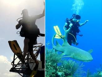 Prins William en Kate Middelton nemen duik tussen de haaien in Caribische Zee: “Het was fantastisch”