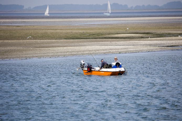 De Kaderrichtlijn Water stelt Zeeland voor problemen: als één stofje in het watersysteem niet voldoet, voldoet het hele watersysteem niet