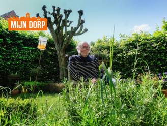 MIJN DORP. Journalist en directeur van kunstacademie Wim Chielens (62) over zijn Reningelst: “Ik ben heel trots op de mouttoren van de Kinderbrouwerij” 